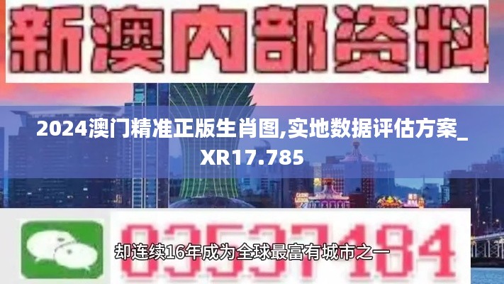 2024澳门精准正版生肖图,实地数据评估方案_XR17.785