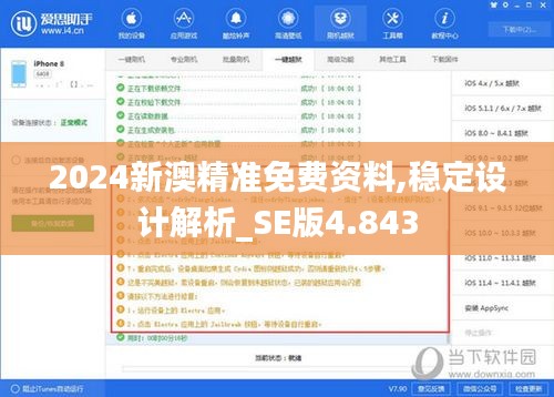 2024新澳精准免费资料,稳定设计解析_SE版4.843