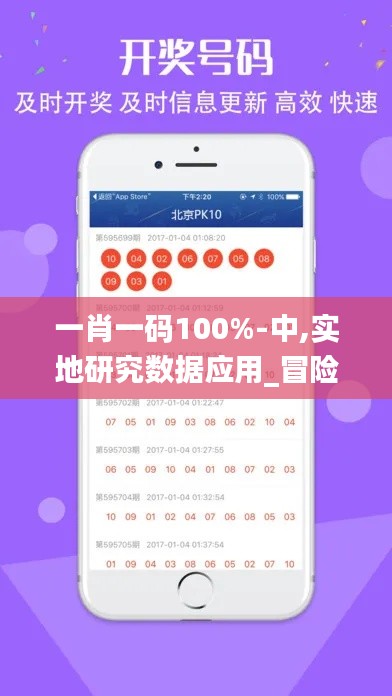 一肖一码100%-中,实地研究数据应用_冒险款4.378