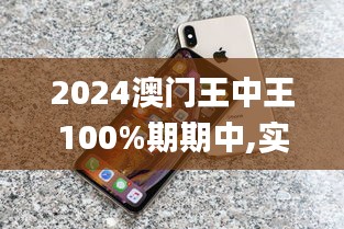 2024澳门王中王100%期期中,实地考察数据执行_iPhone2.873