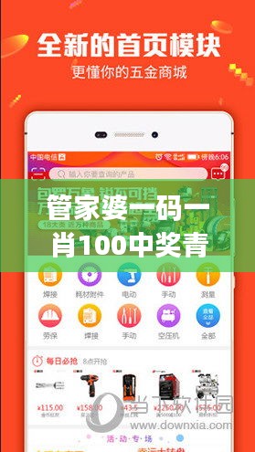 管家婆一码一肖100中奖青岛,精准实施解析_android4.669