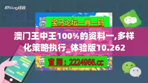 澳门王中王100%的资料一,多样化策略执行_体验版10.262