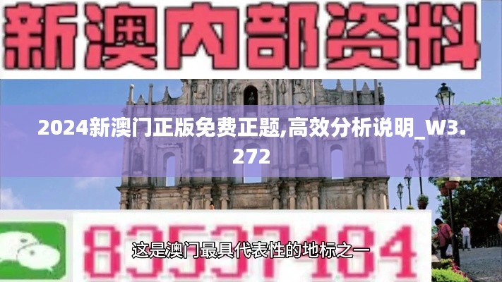 2024新澳门正版免费正题,高效分析说明_W3.272