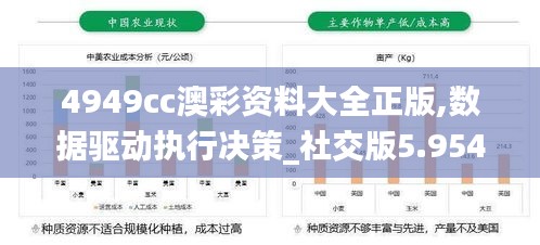 4949cc澳彩资料大全正版,数据驱动执行决策_社交版5.954