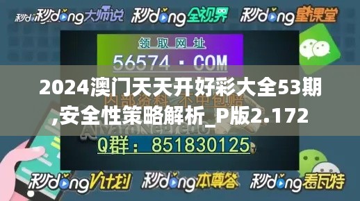 2024澳门天天开好彩大全53期,安全性策略解析_P版2.172