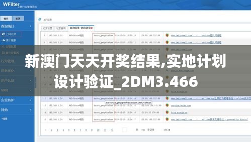 新澳门天天开奖结果,实地计划设计验证_2DM3.466