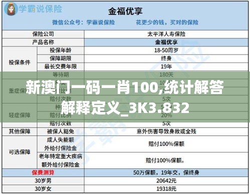 新澳门一码一肖100,统计解答解释定义_3K3.832