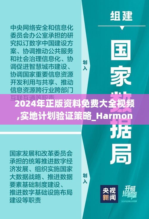 2024年正版资料免费大全视频,实地计划验证策略_HarmonyOS1.910