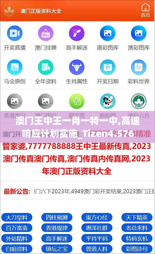 澳门王中王一肖一特一中,高速响应计划实施_Tizen4.576