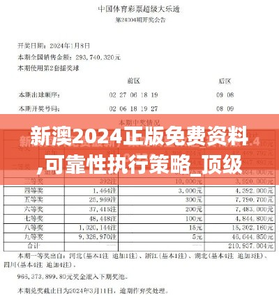 新澳2024正版免费资料,可靠性执行策略_顶级款5.593