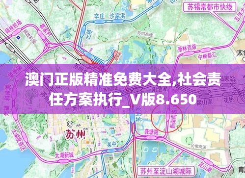 澳门正版精准免费大全,社会责任方案执行_V版8.650