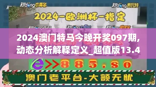 2024澳门特马今晚开奖097期,动态分析解释定义_超值版13.462