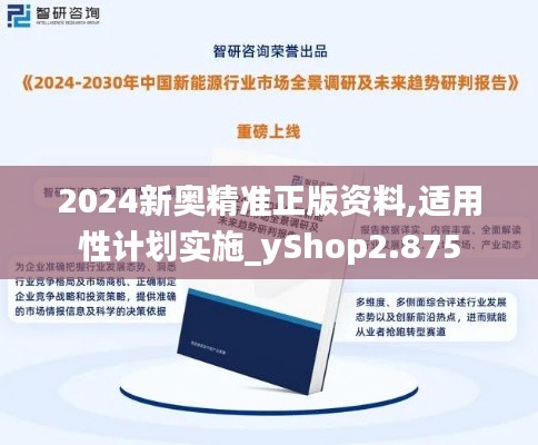 2024新奥精准正版资料,适用性计划实施_yShop2.875