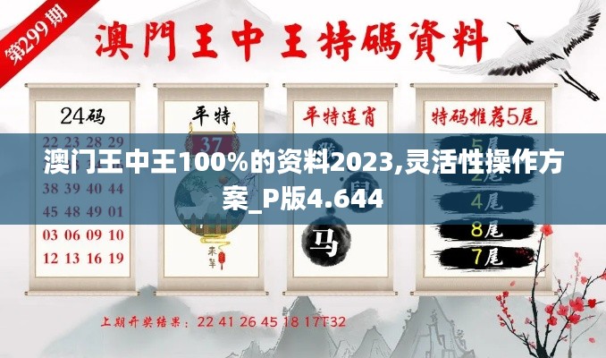 澳门王中王100%的资料2023,灵活性操作方案_P版4.644