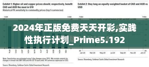 2024年正版免费天天开彩,实践性执行计划_Prime5.192