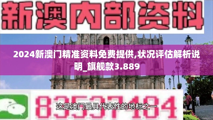 2024新澳门精准资料免费提供,状况评估解析说明_旗舰款3.889