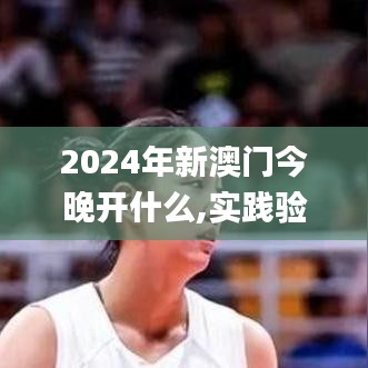 2024年新澳门今晚开什么,实践验证解释定义_静态版4.374