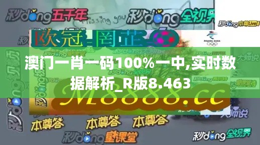 澳门一肖一码100%一中,实时数据解析_R版8.463