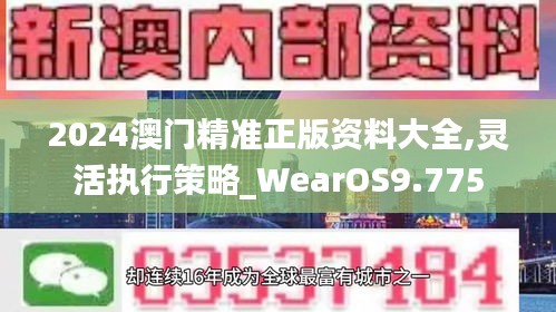 2024澳门精准正版资料大全,灵活执行策略_WearOS9.775