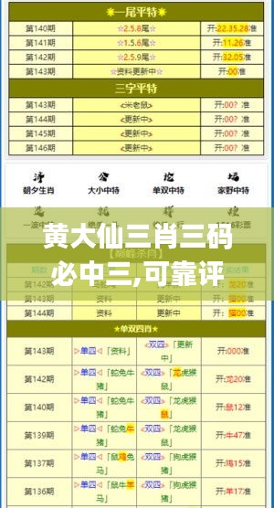 黄大仙三肖三码必中三,可靠评估说明_超值版19.378