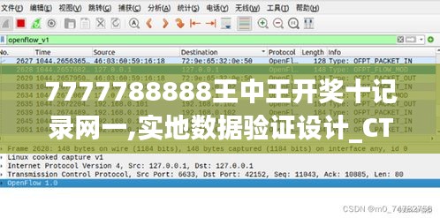 7777788888王中王开奖十记录网一,实地数据验证设计_CT4.395