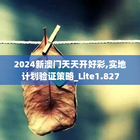 2024新澳门天天开好彩,实地计划验证策略_Lite1.827