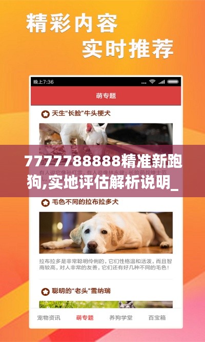 7777788888精准新跑狗,实地评估解析说明_复刻版11.443